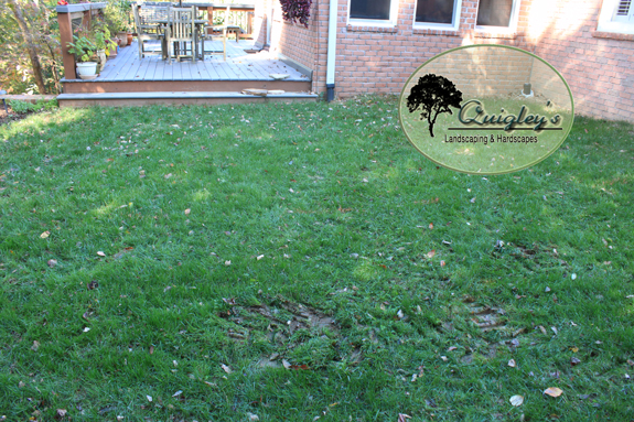 This is a before picture of the area when there was no work that had happened yet to the Brentwood Flagstone Patio we installed here at Quigley's Landsacaping and Hardscapes.